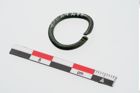 Foto von Bronzering (NHMW-PRAE-024278)